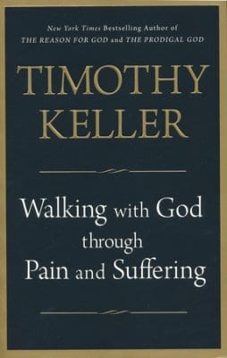 walking-with-god-through-pain-and-suffering.jpg
