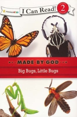 Big-Bugs-Little-Bugs.jpg