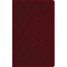 ruby-large-print-esv-bible.jpg