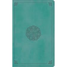 turquoise-thinline-bible.jpg