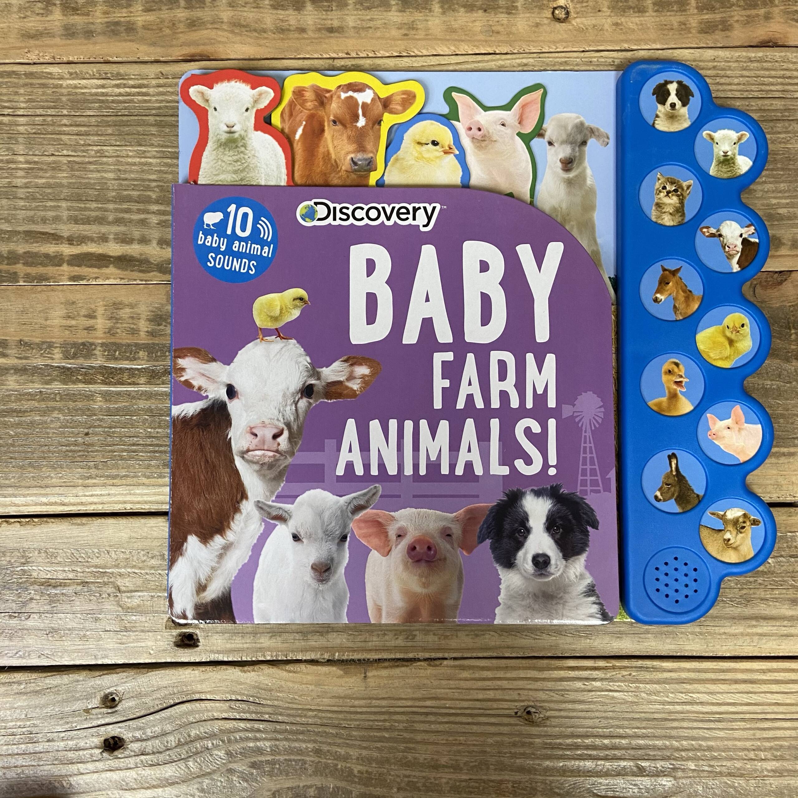 Discovery: Baby Farm Animals! ( 10-Button Sound Books ) – Faith & Life