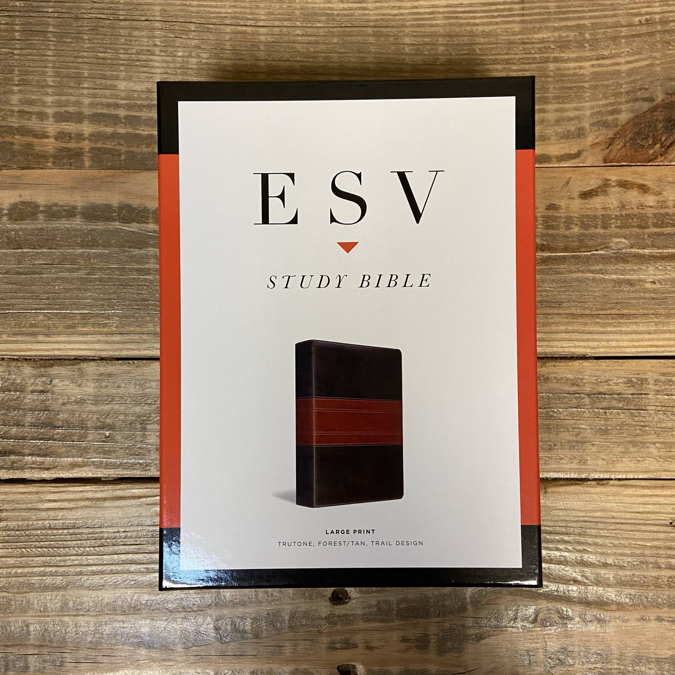 Esv Bible With Tabs Thailandlinda