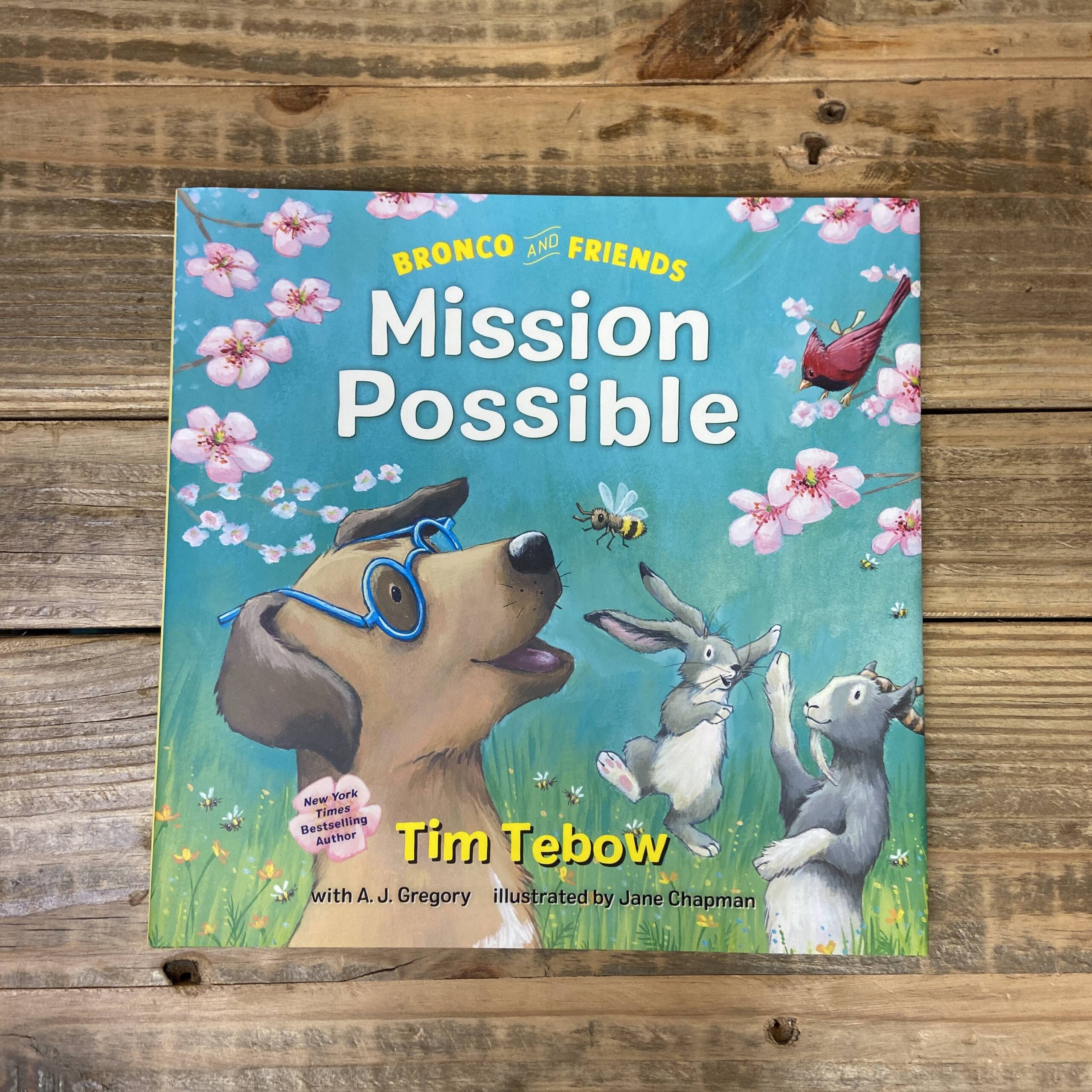 Bronco and Friends: Mission Possible [Book]