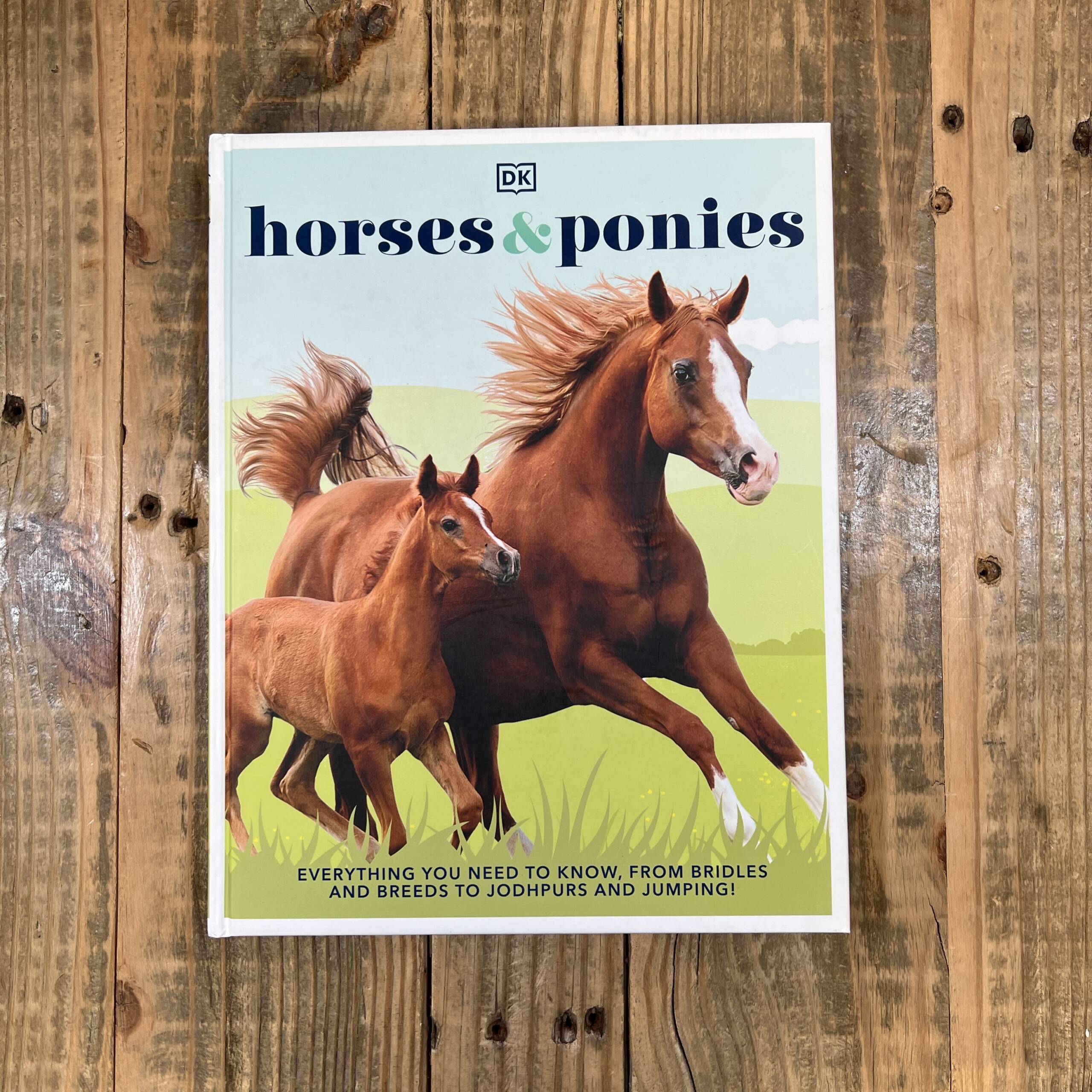 Horse Coloring Books for Girls ages 8-12: Gift Book for Horses