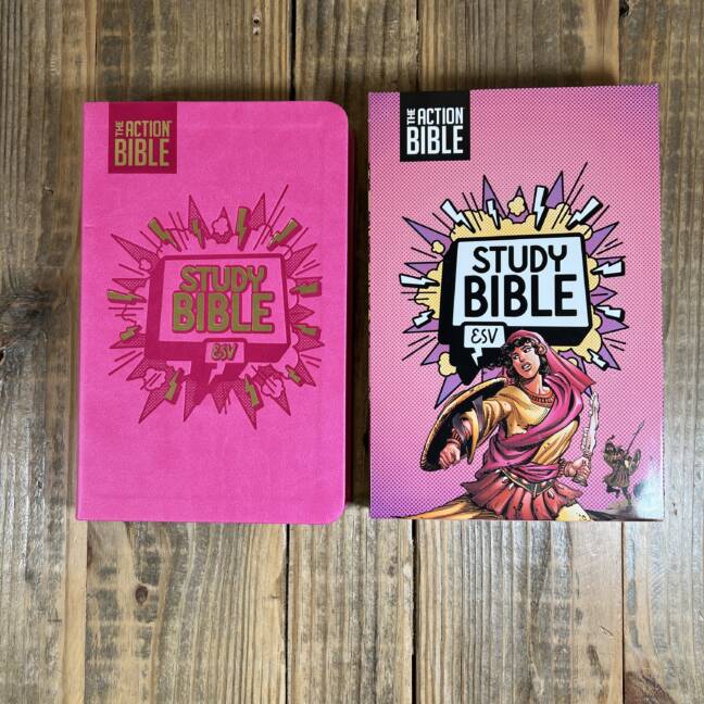 The Action Bible Study Bible ESV, Leathersoft, Pink, Full Color