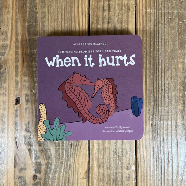 When It Hurts: Comforting Promises for Hard Times