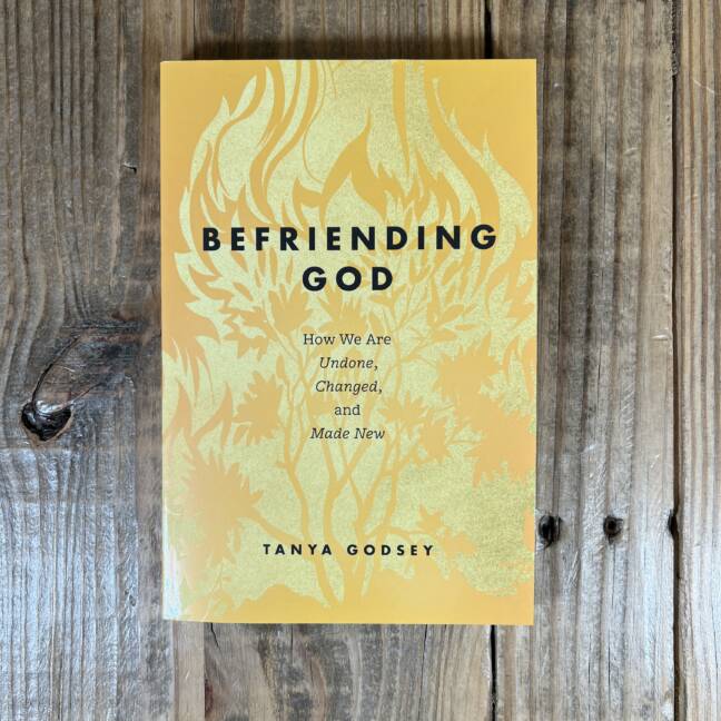 Befriending God: How We Are Undone, Changed, and Made New