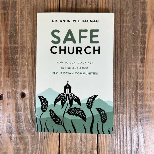 Safe Church: How to Guard Against Sexism and Abuse in Christian Communities