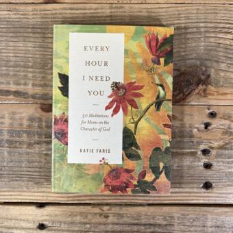 Every Hour I Need You: 30 Meditations for Moms on the Character of God