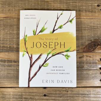 The Story of Joseph: How God Can Redeem Imperfect Families - An 8-Week Bible Study