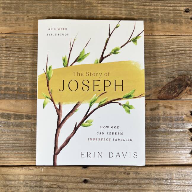 The Story of Joseph: How God Can Redeem Imperfect Families - An 8-Week Bible Study