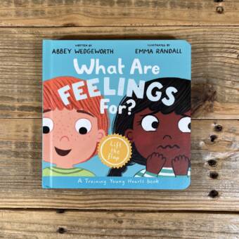 What Are Feelings For? Board Book: A Lift-The-Flap Board Book (Training Young Hearts)