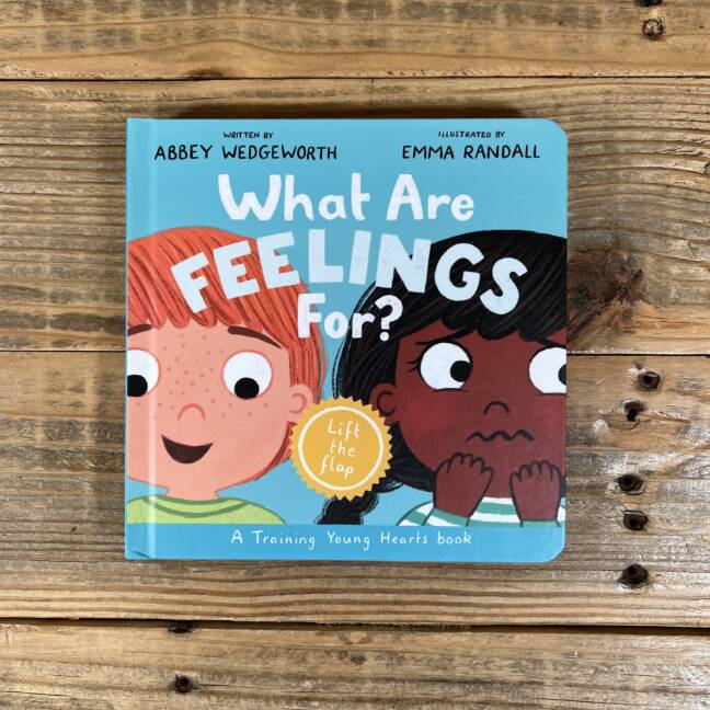 What Are Feelings For? Board Book: A Lift-The-Flap Board Book (Training Young Hearts)