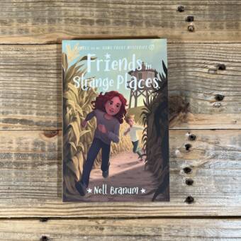 Friends in Strange Places: Heroes on the Home Front Mysteries #2 (Heroes on the Home Front Mysteries)
