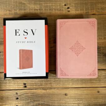 ESV Study Bible, Personal Size (Trutone, Blush Rose, Fleur-De-Lis Design)