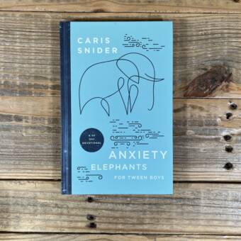 Anxiety Elephants for Tween Boys: A 90 Day Devotional
