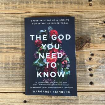 The God You Need to Know: Experience the Holy Spirit's Power and Presence Today