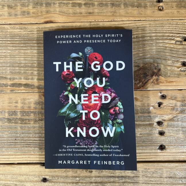 The God You Need to Know: Experience the Holy Spirit's Power and Presence Today