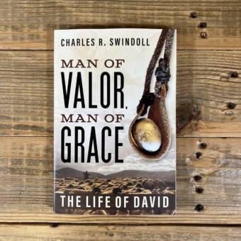 Man of Valor, Man of Grace: The Life of David (the Perfect Gift for Fans of House of David. Discover More about the Real King David of the Bible)