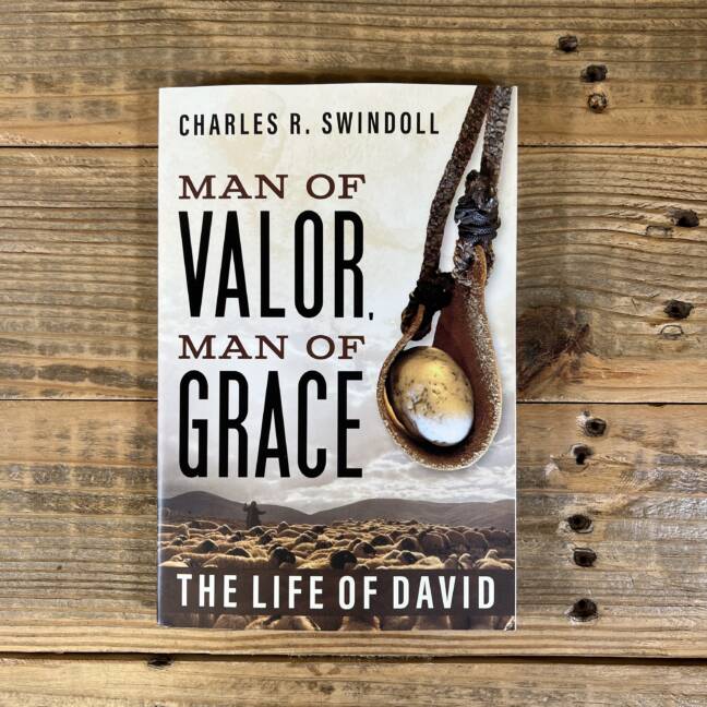 Man of Valor, Man of Grace: The Life of David (the Perfect Gift for Fans of House of David. Discover More about the Real King David of the Bible)