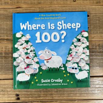 Where Is Sheep 100?: A Skip-Counting Story about the Good Shepherd's Love