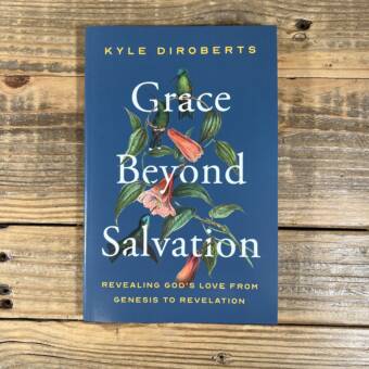 Grace Beyond Salvation: Revealing God's Love from Genesis to Revelation